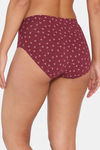 Zivame Anti-Microbial Medium Rise Full Coverage Hipster Panty (Pack of 3) - Multicolor — thumbnail 3